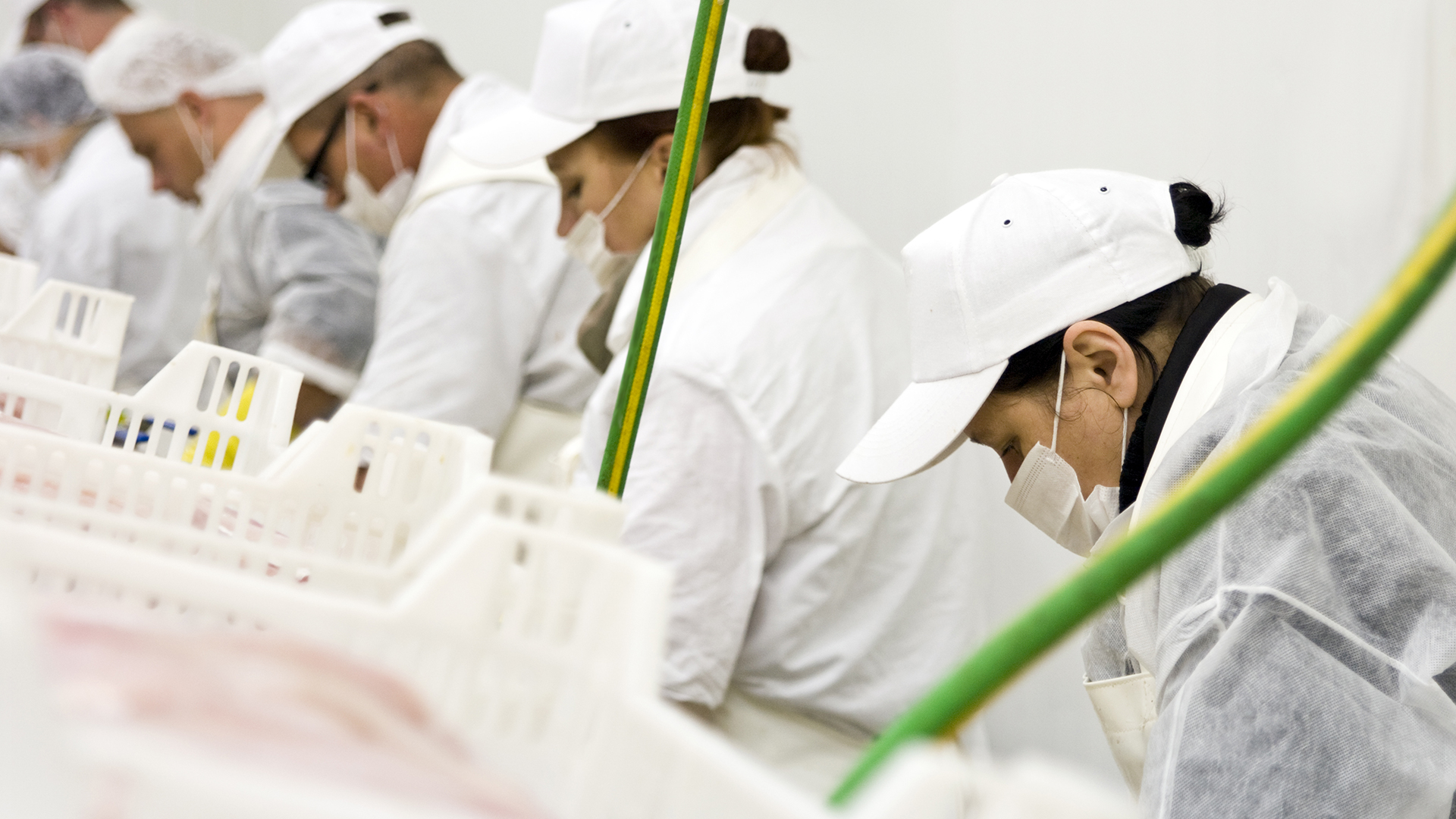 Wireless Communication Solutions for Food Processing | Sonetics